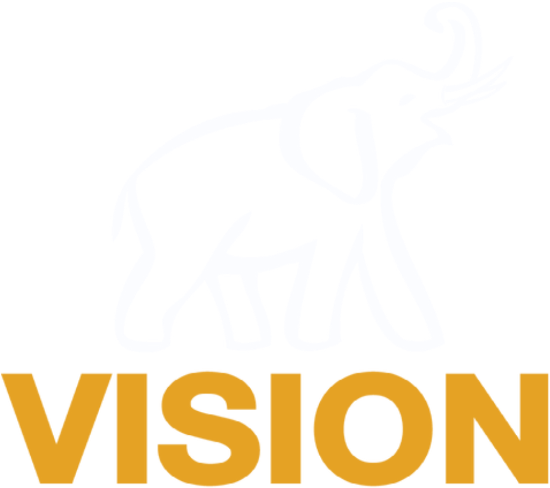 Vision