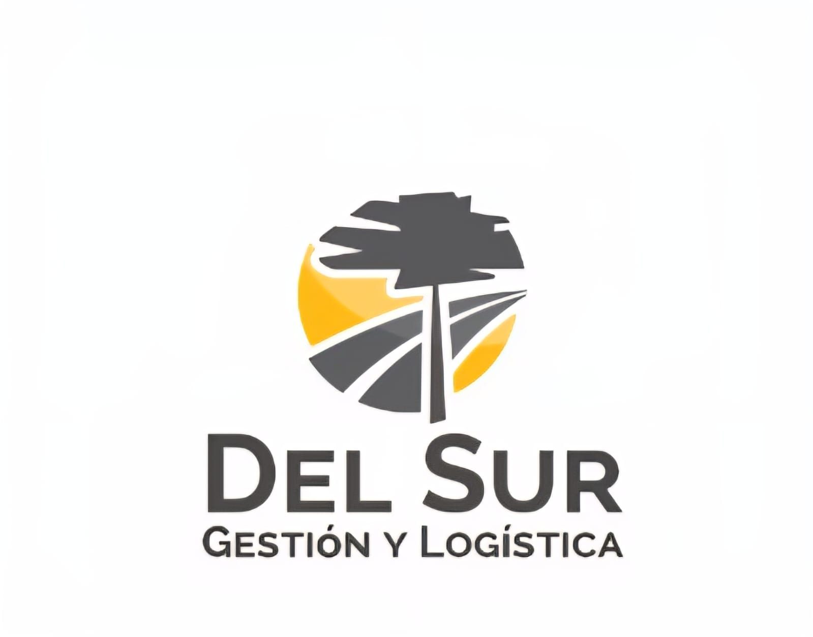 Del Sur Gestión y Logística